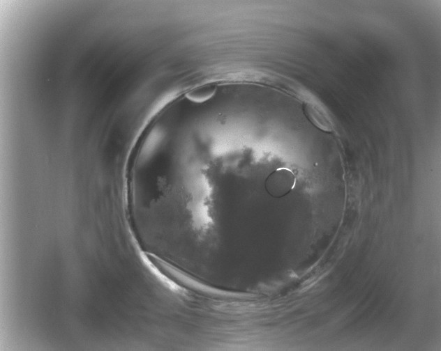 X0000062151095200512161228