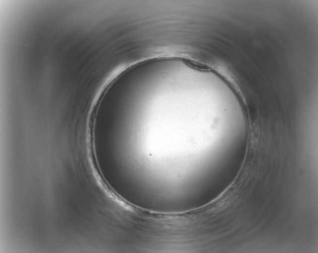 X0000062151096200512161228