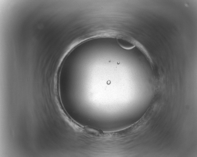 X0000062151099200512161228