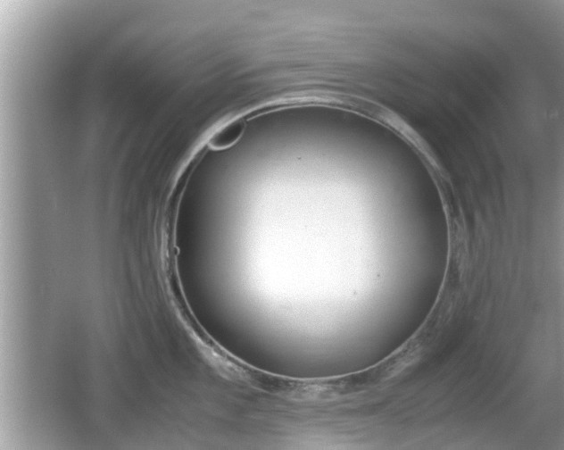 X0000062151101200512161227