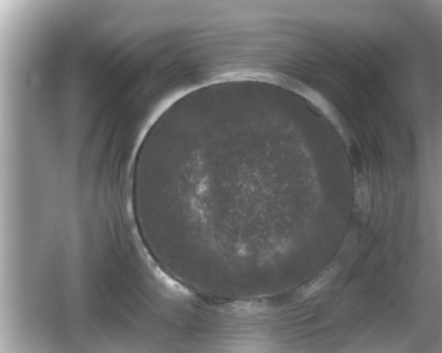 X0000062151102200512161227