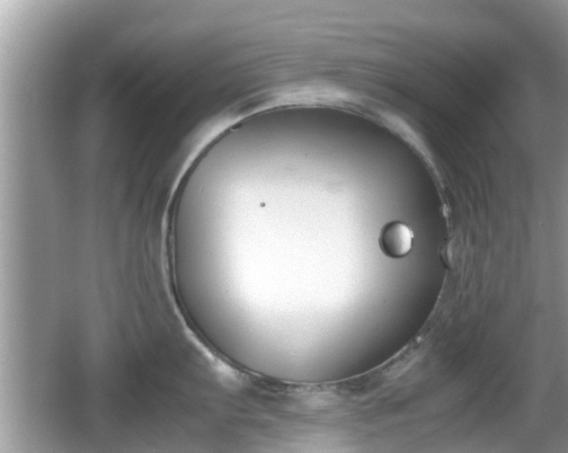 X0000062151103200512161227