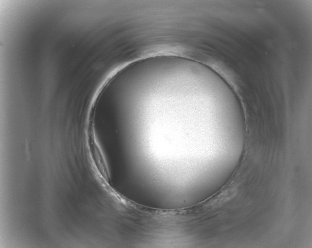 X0000062151104200512161227