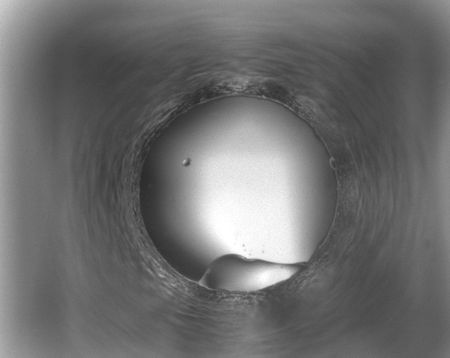 X0000062151105200512161227