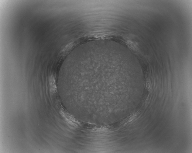 X0000062151106200512161227