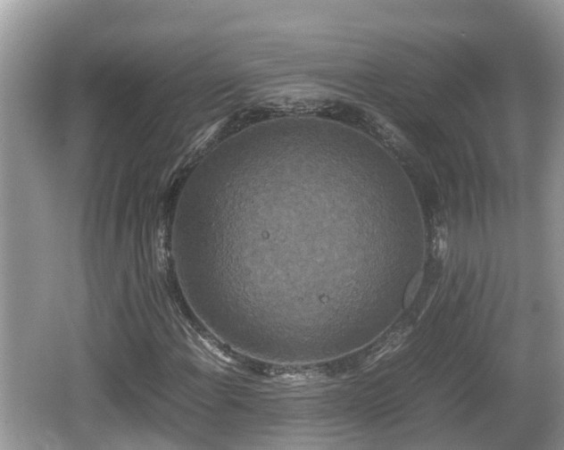 X0000062151108200512161227