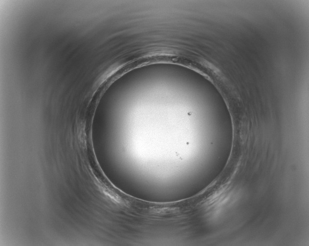 X0000062151113200512161227