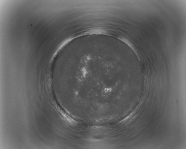 X0000062151115200512161227