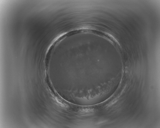 X0000062151117200512161227