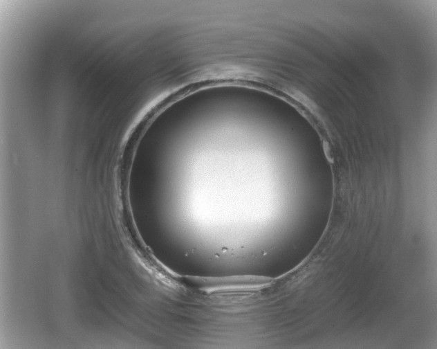 X0000062151120200512161227