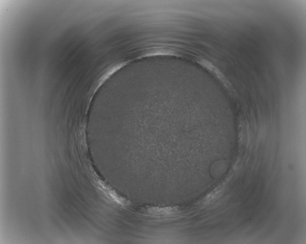 X0000062151121200512161227