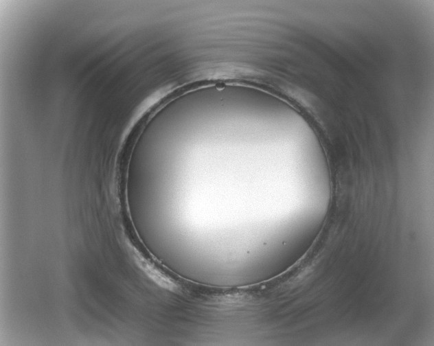 X0000062151122200512161227