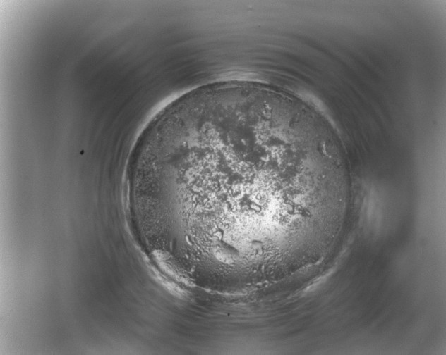 X0000062151125200512161227