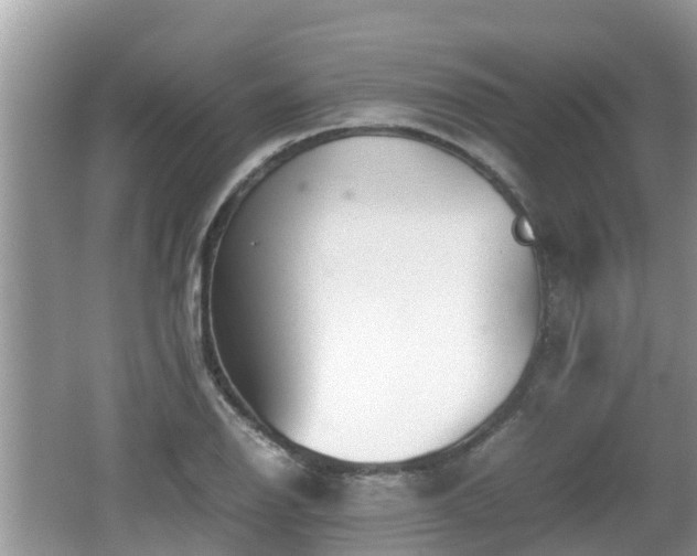 X0000062151126200512161227