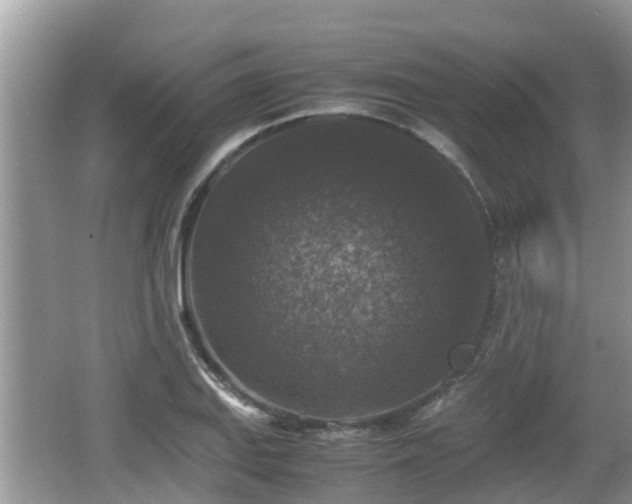 X0000062151127200512161227