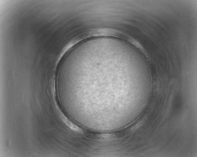 X0000062151130200512161227