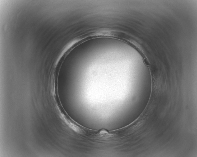 X0000062151131200512161227