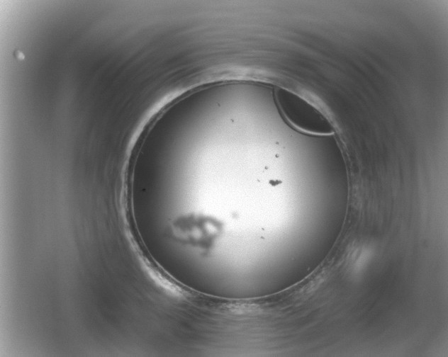 X0000062151136200512161227