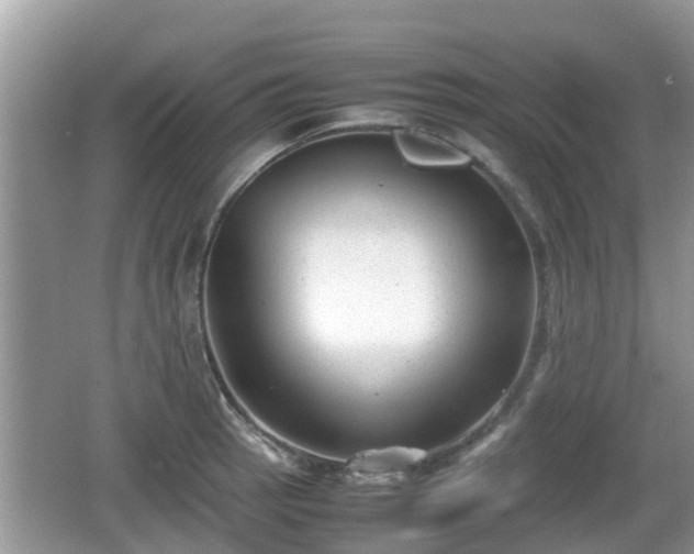 X0000062151137200512161227