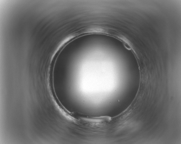 X0000062151139200512161227