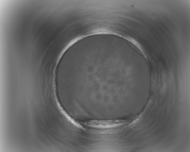 X0000062151142200512161227