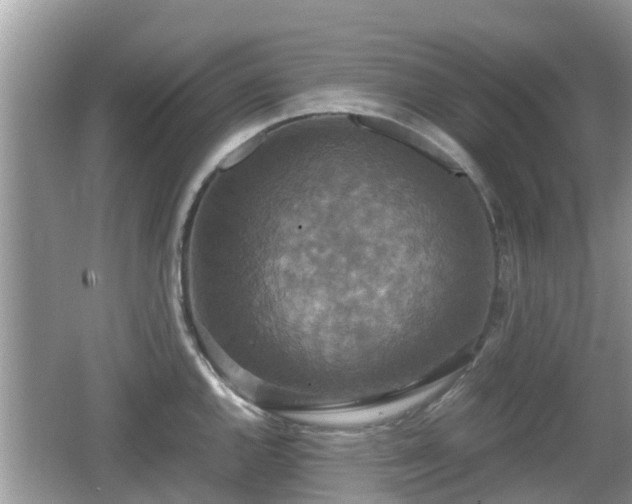 X0000062151144200512161227