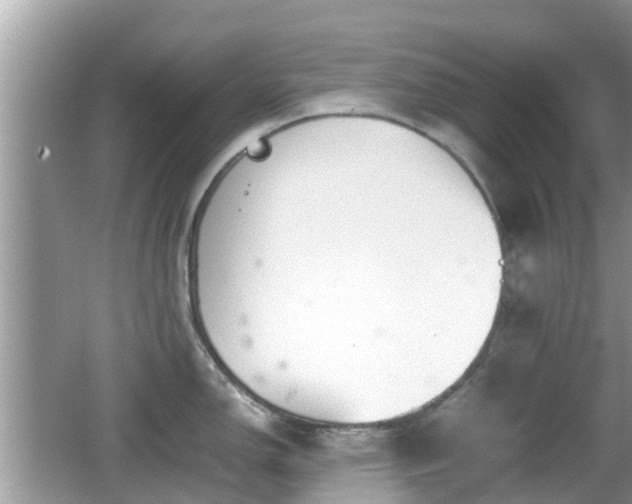 X0000062151150200512161227