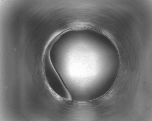 X0000062151152200512161227