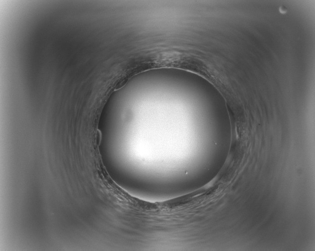 X0000062151153200512161227