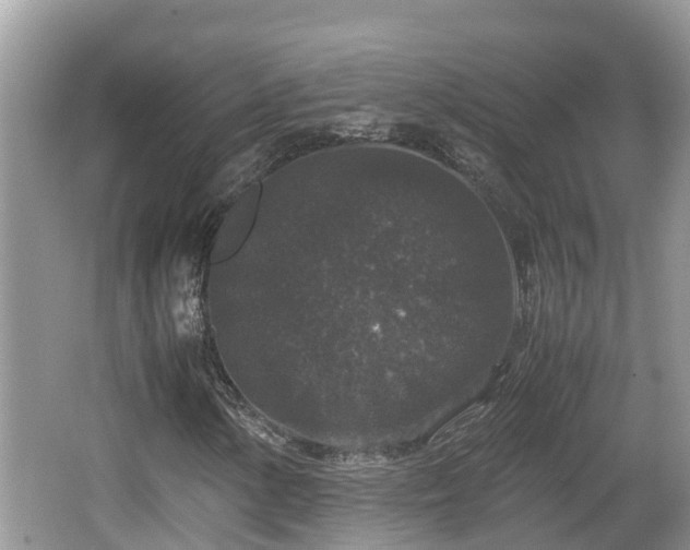 X0000062151154200512161227