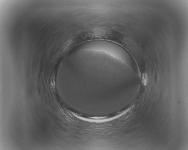 X0000062151155200512161227