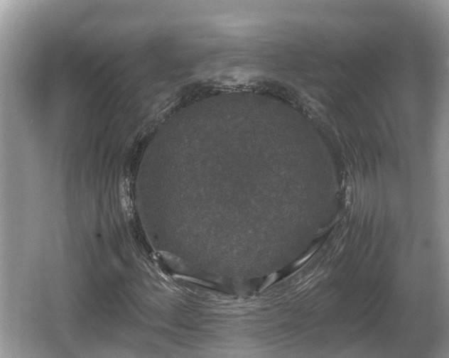 X0000062151156200512161227