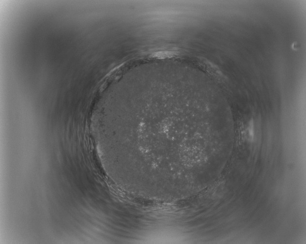 X0000062151158200512161226