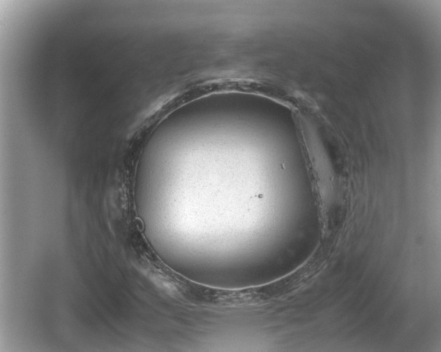 X0000062151159200512161226