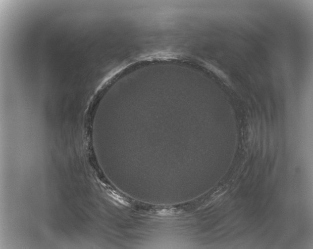 X0000062151160200512161226