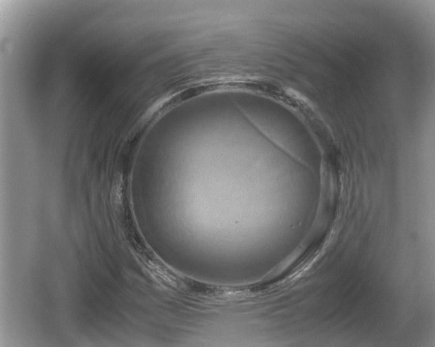 X0000062151161200512161226