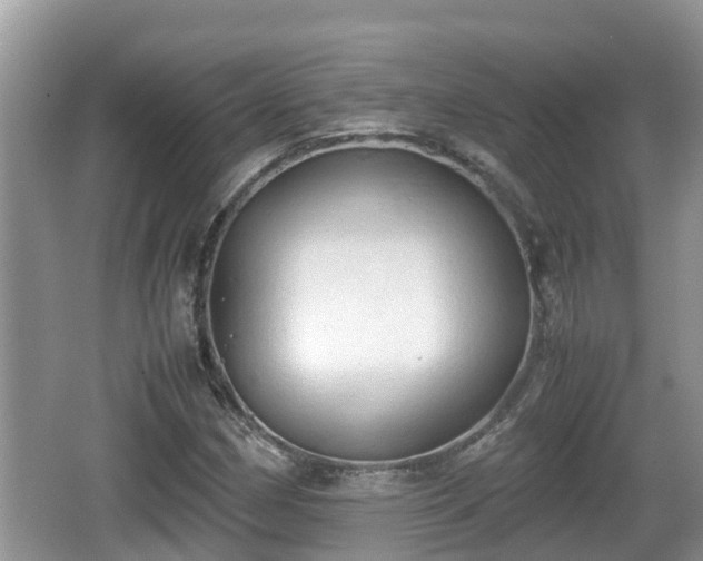 X0000062151162200512161226