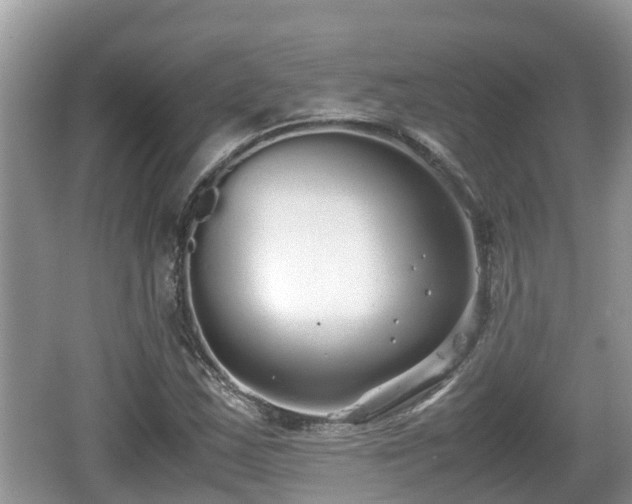 X0000062151163200512161226