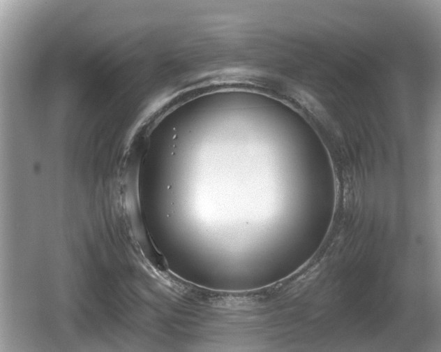 X0000062151164200512161226