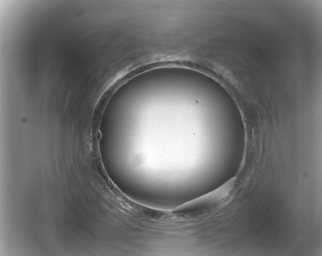 X0000062151165200512161226