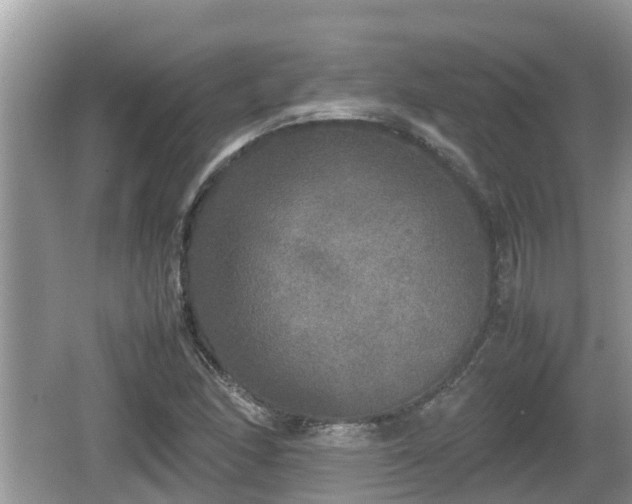 X0000062151166200512161226