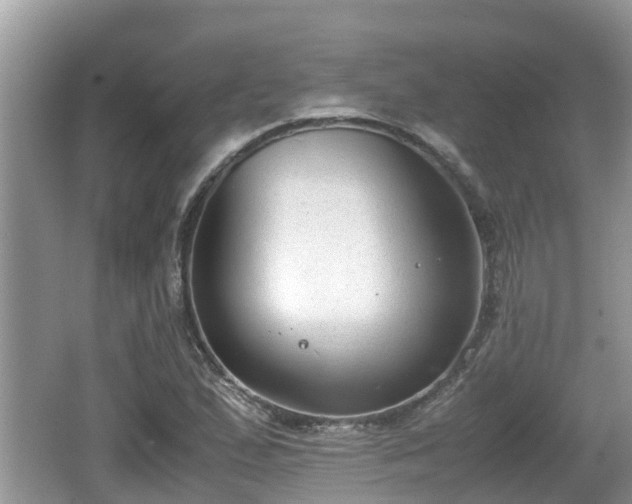 X0000062151167200512161226