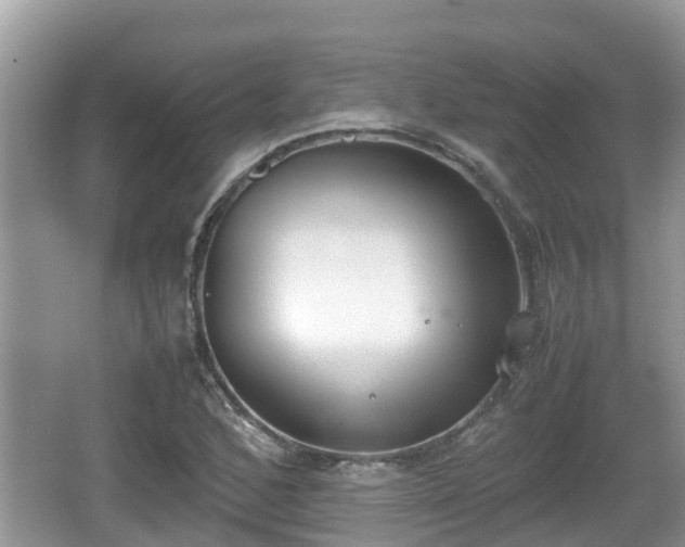 X0000062151168200512161226