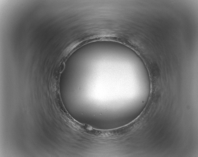 X0000062151169200512161226