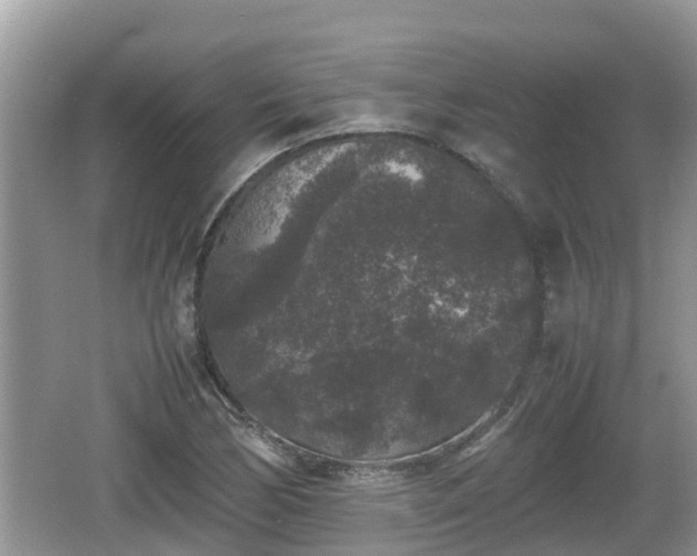 X0000062151170200512161226