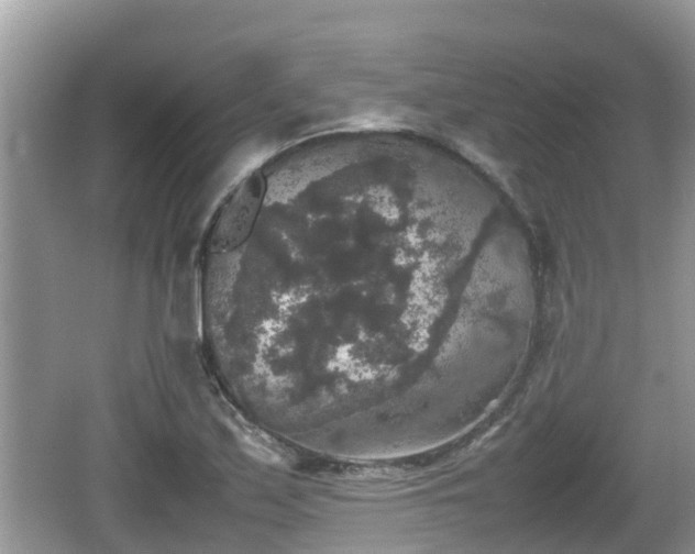 X0000062151171200512161226