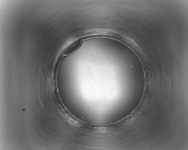 X0000062151172200512161226