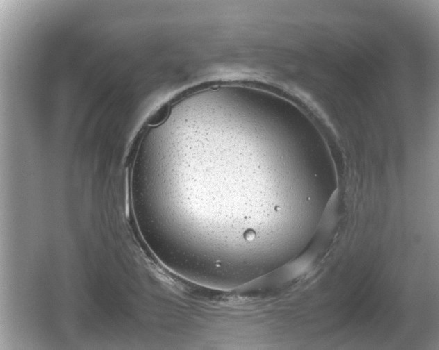 X0000062151175200512161226