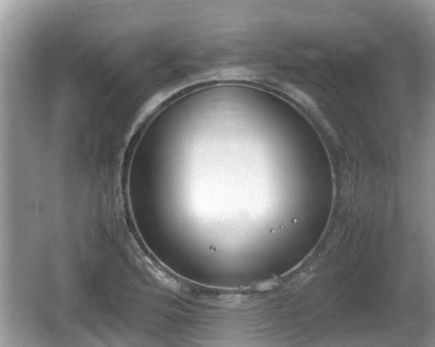 X0000062151176200512161226