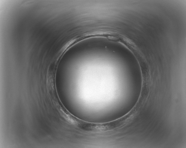 X0000062151177200512161226